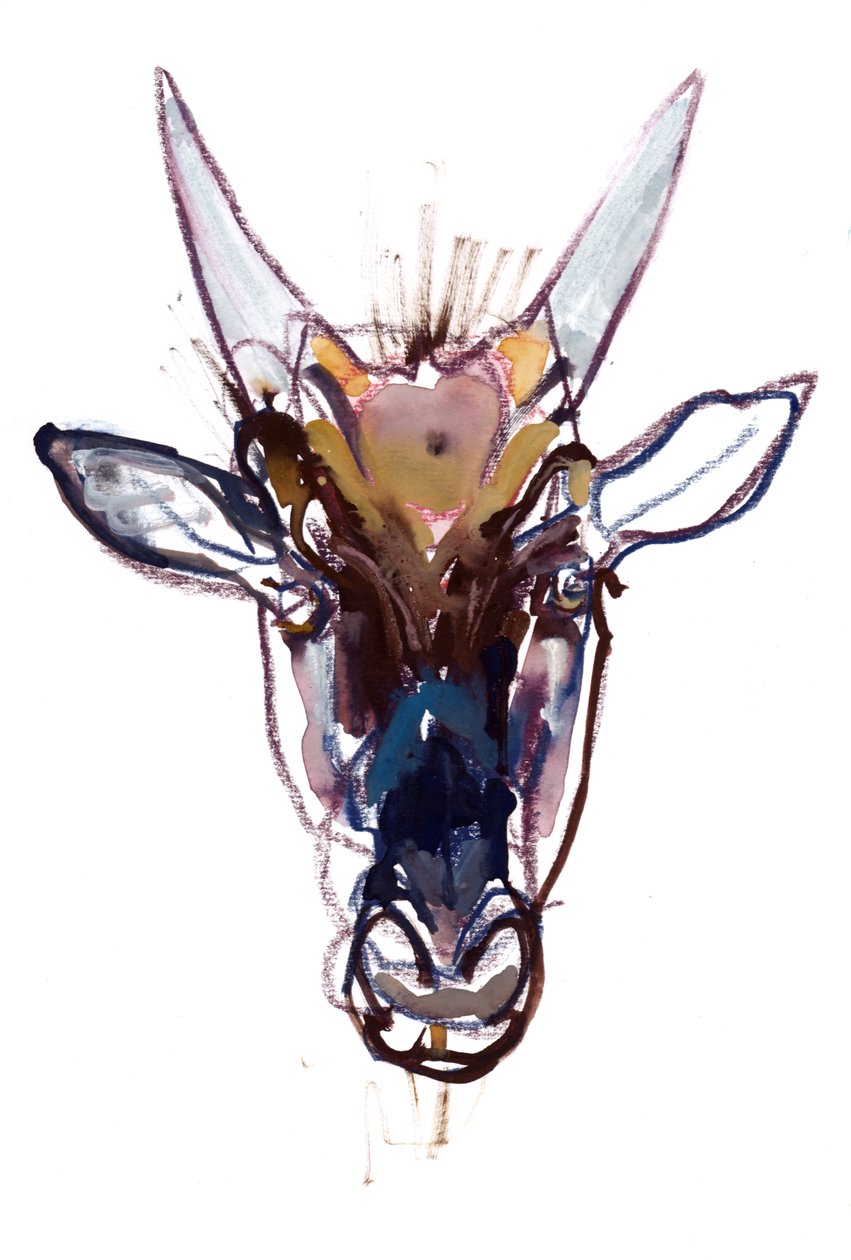 Little Devil (gnu), 2022 av Mark Adlington