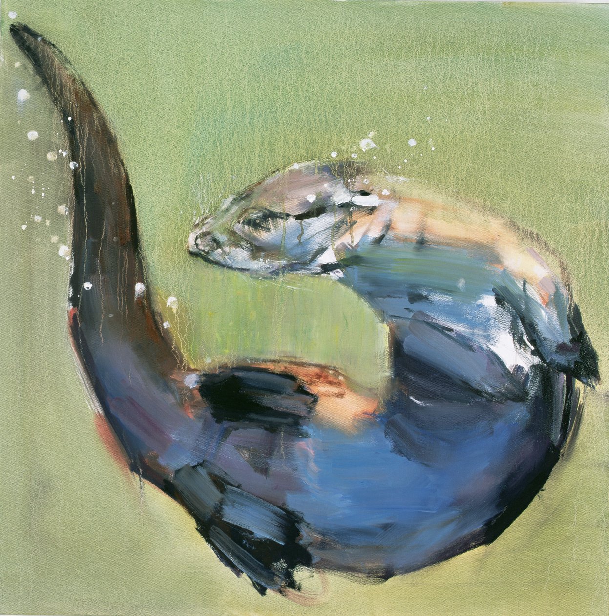 Otter, 2003 av Mark Adlington
