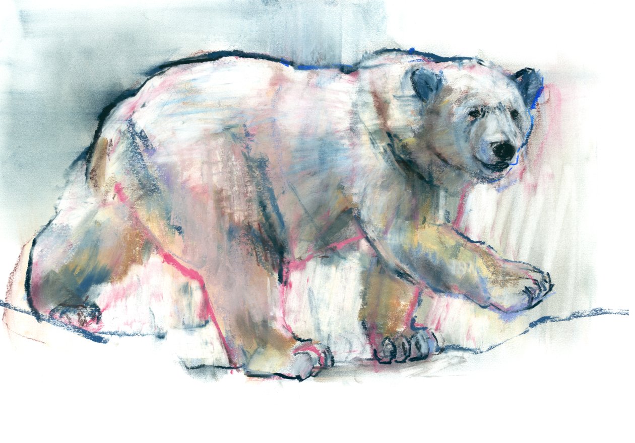 Rosa, 2016, (conté och pastell på papper) av Mark Adlington