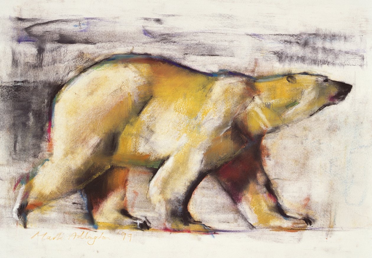 Polar Bear (blandad media på papper) av Mark Adlington