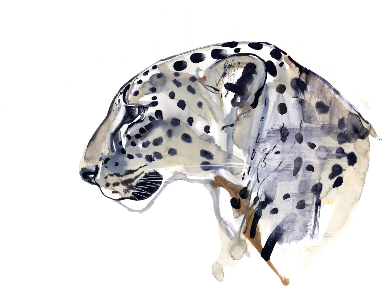 Profil (arabisk leopard), 2008 av Mark Adlington