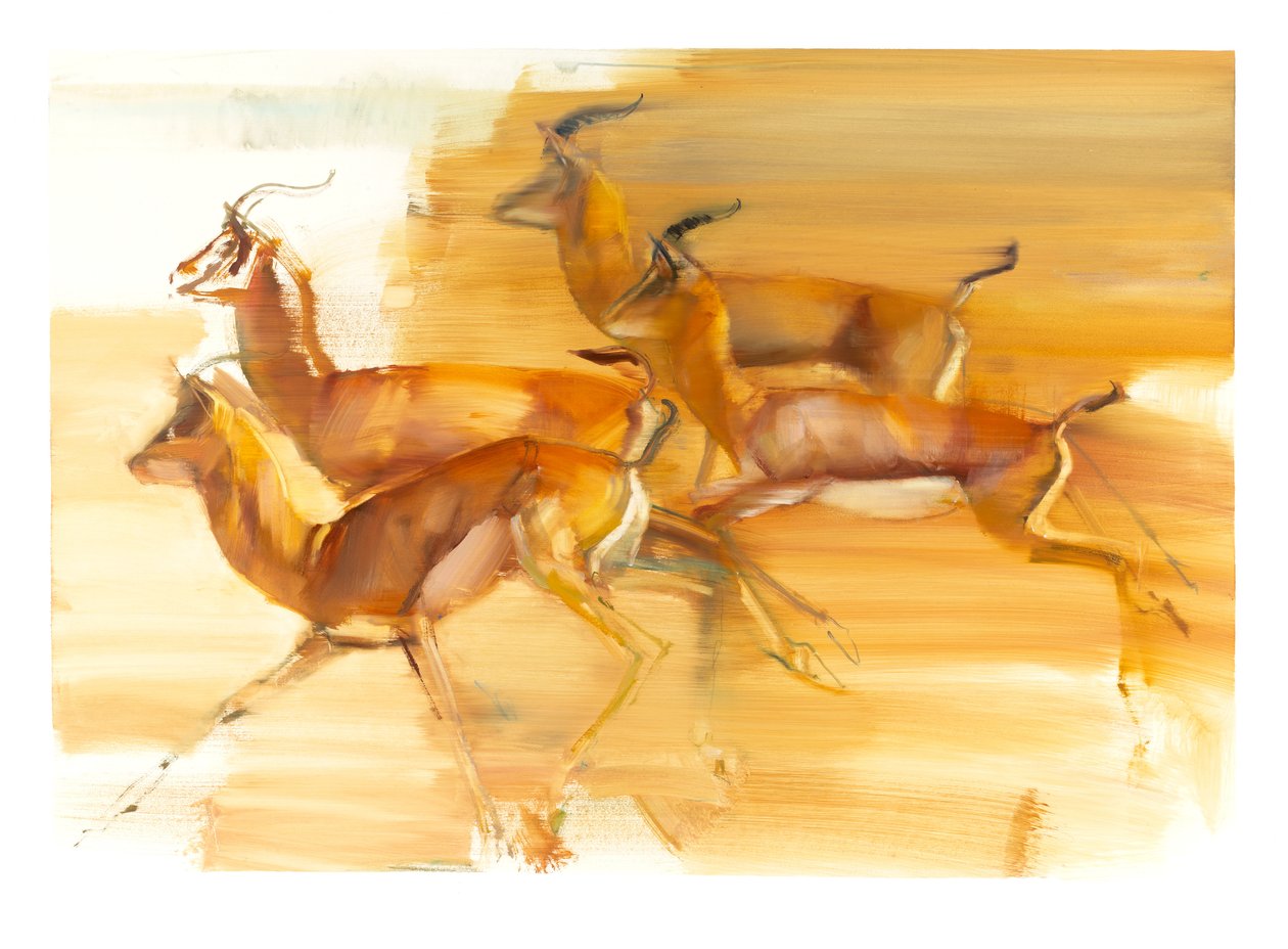Running Gazelles, 2010 (olja på papper) av Mark Adlington