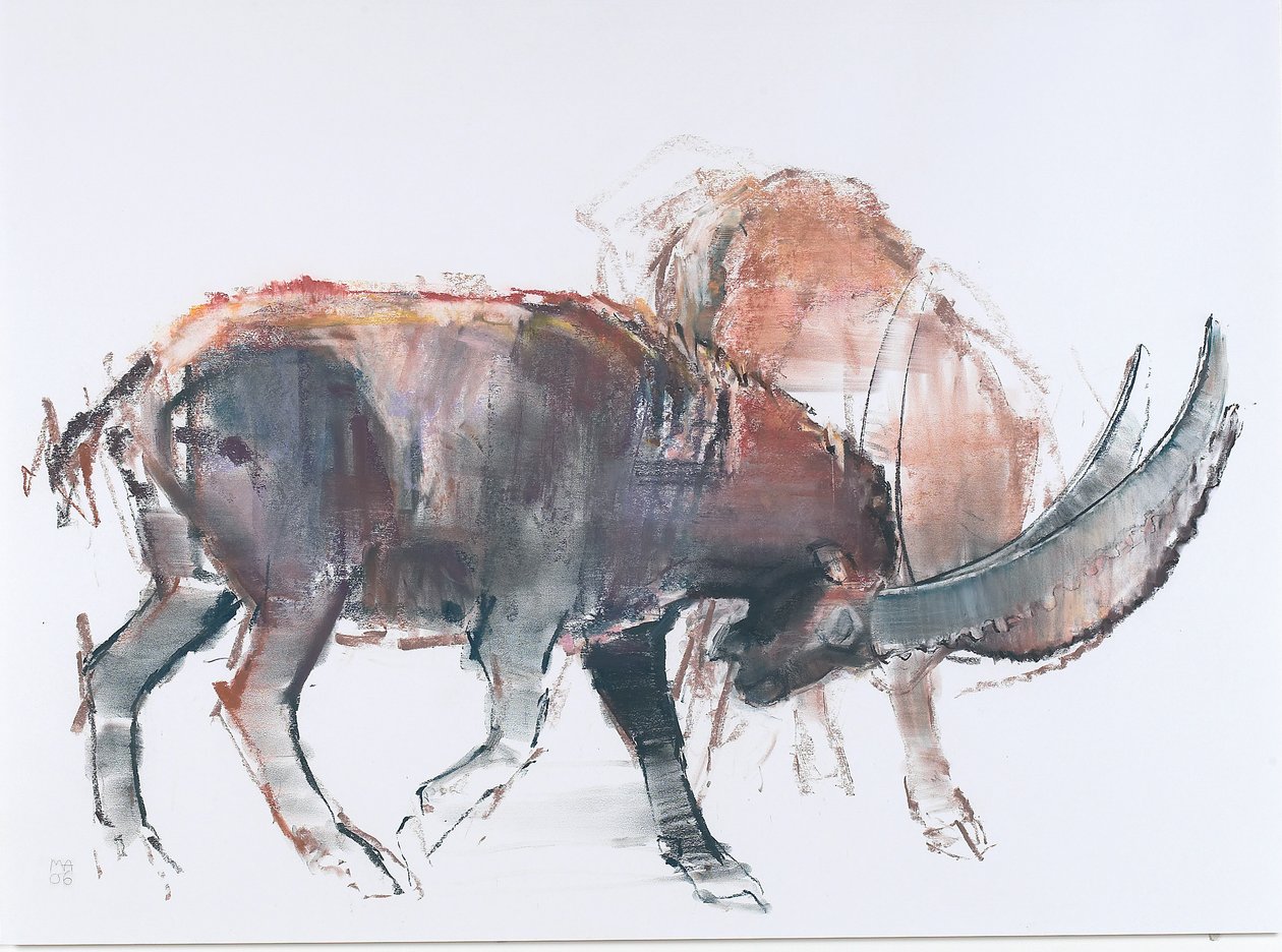Scimitar, 2006 (träkol och conte på papper) av Mark Adlington