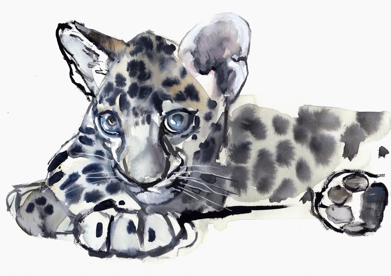 Spotty (arabisk leopardunge), 2008 av Mark Adlington