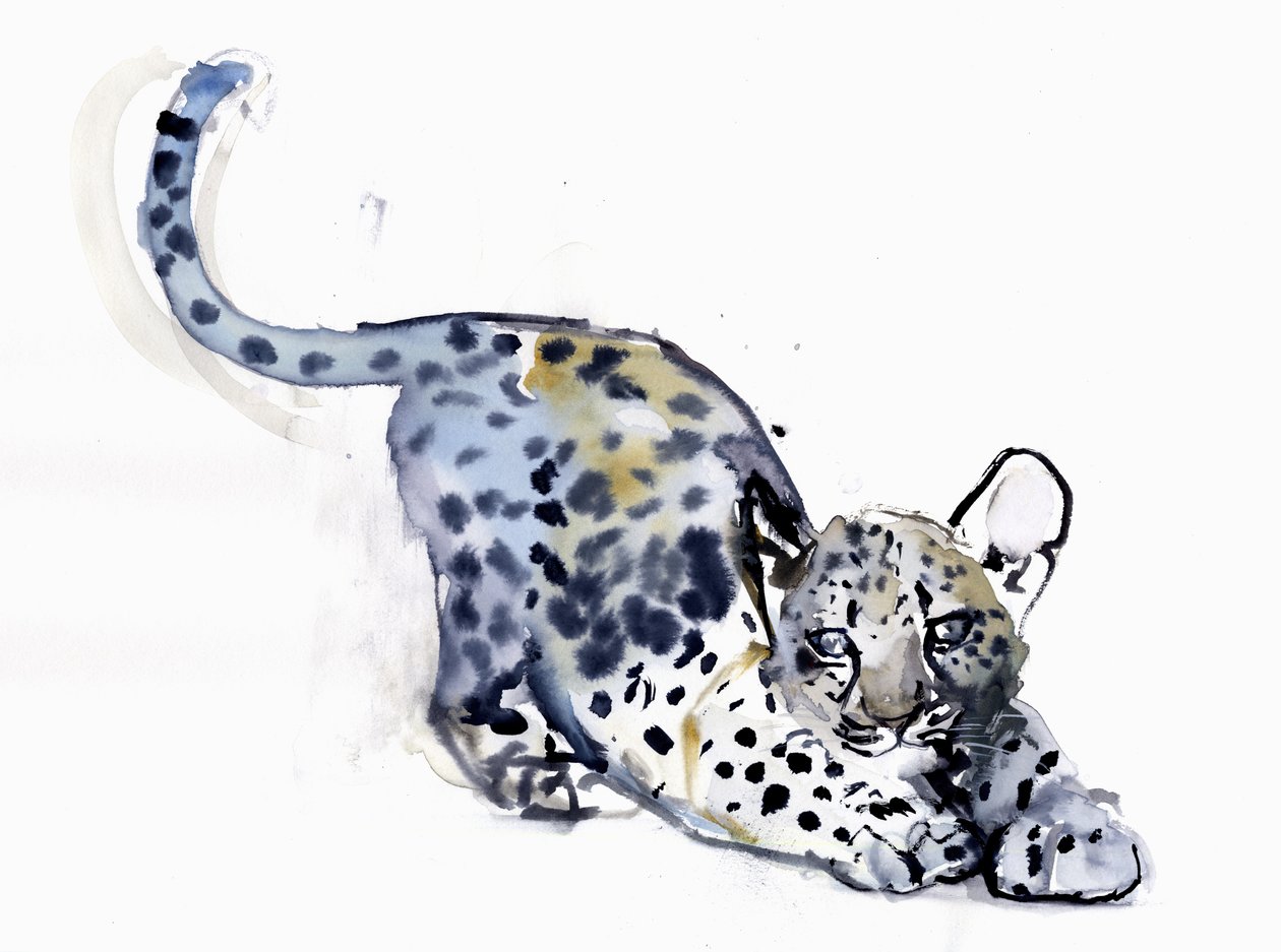 Stretching Cub (arabisk leopard), 2008 av Mark Adlington