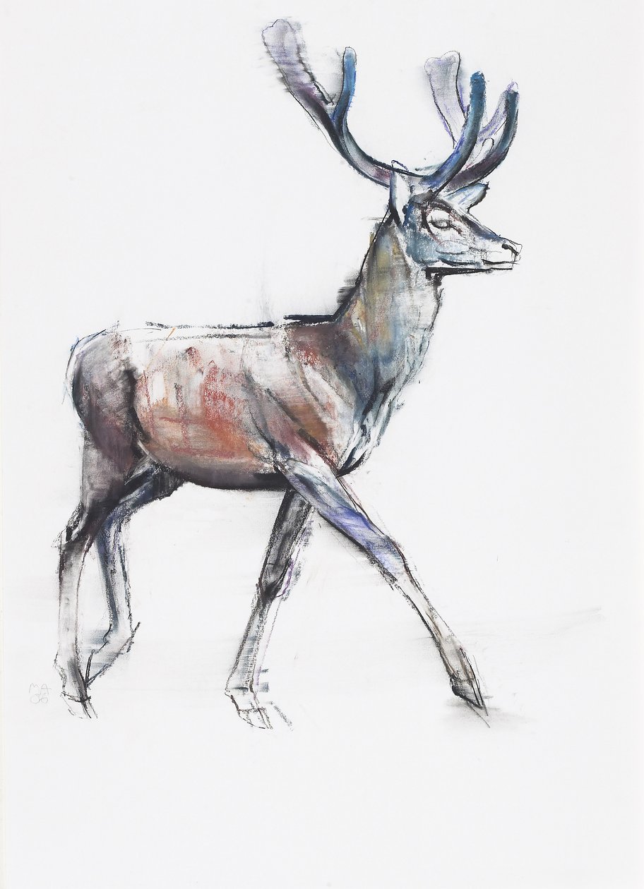 Velvet, 2006 (träkol och conte på papper) av Mark Adlington