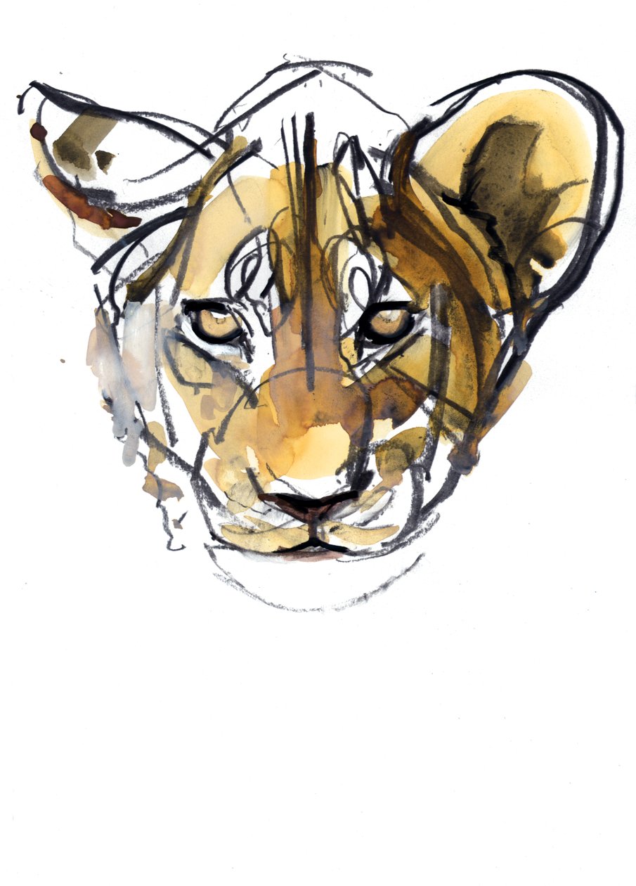 Yellow Cub, 2019 av Mark Adlington