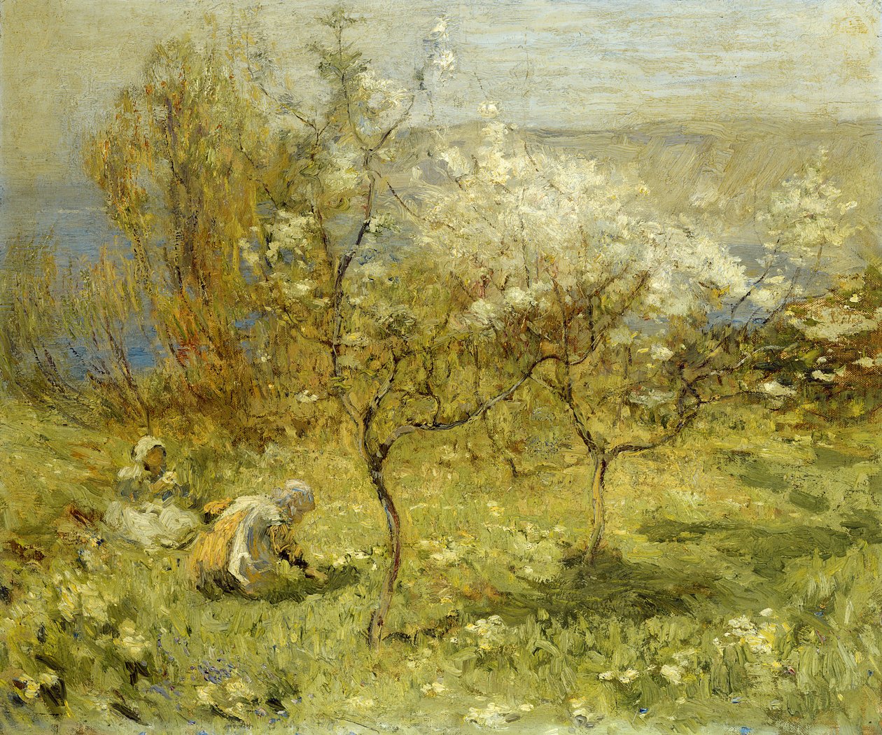 Apple Blossoms (olja på duk) av Mark Senior