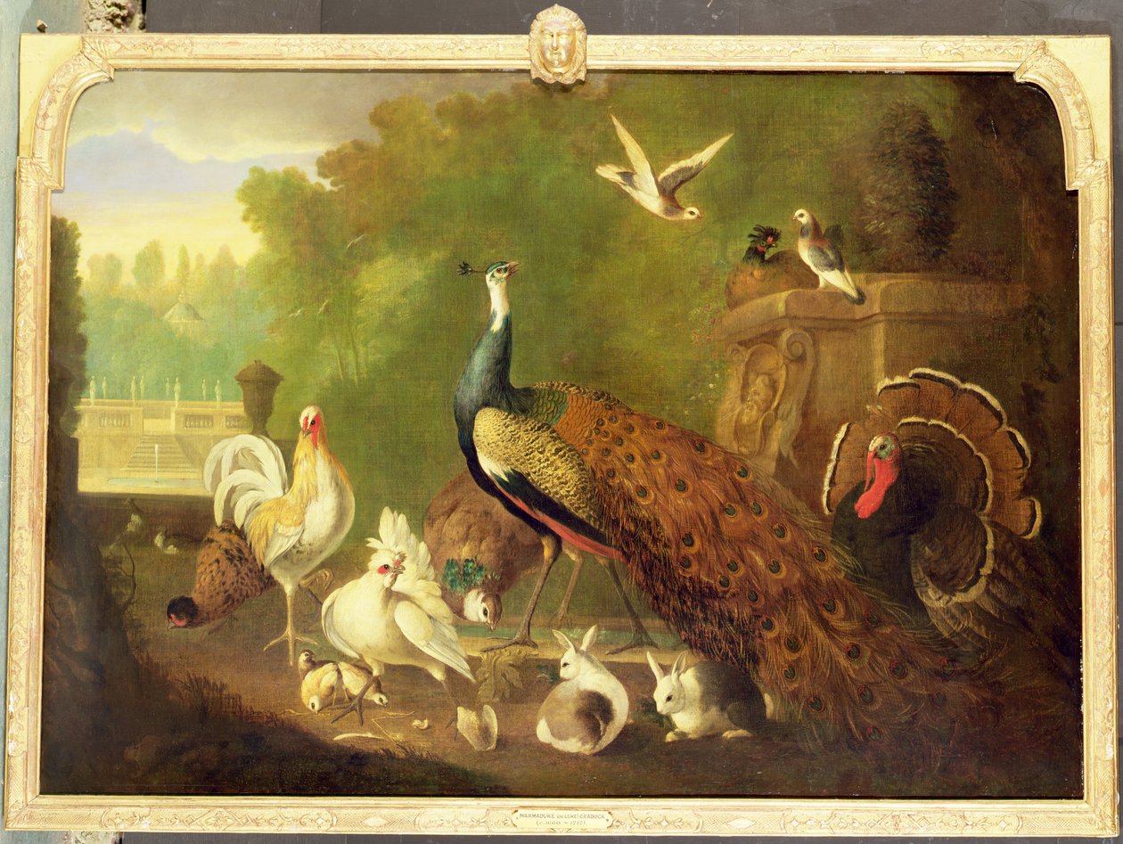 Okänd bild av Marmaduke Craddock