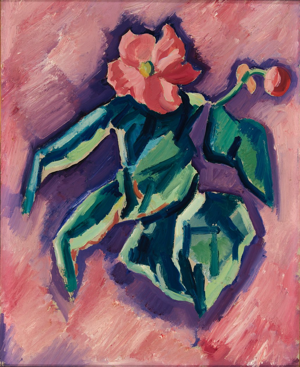 Rosa Begonia, 1928-1929. av Marsden Hartley