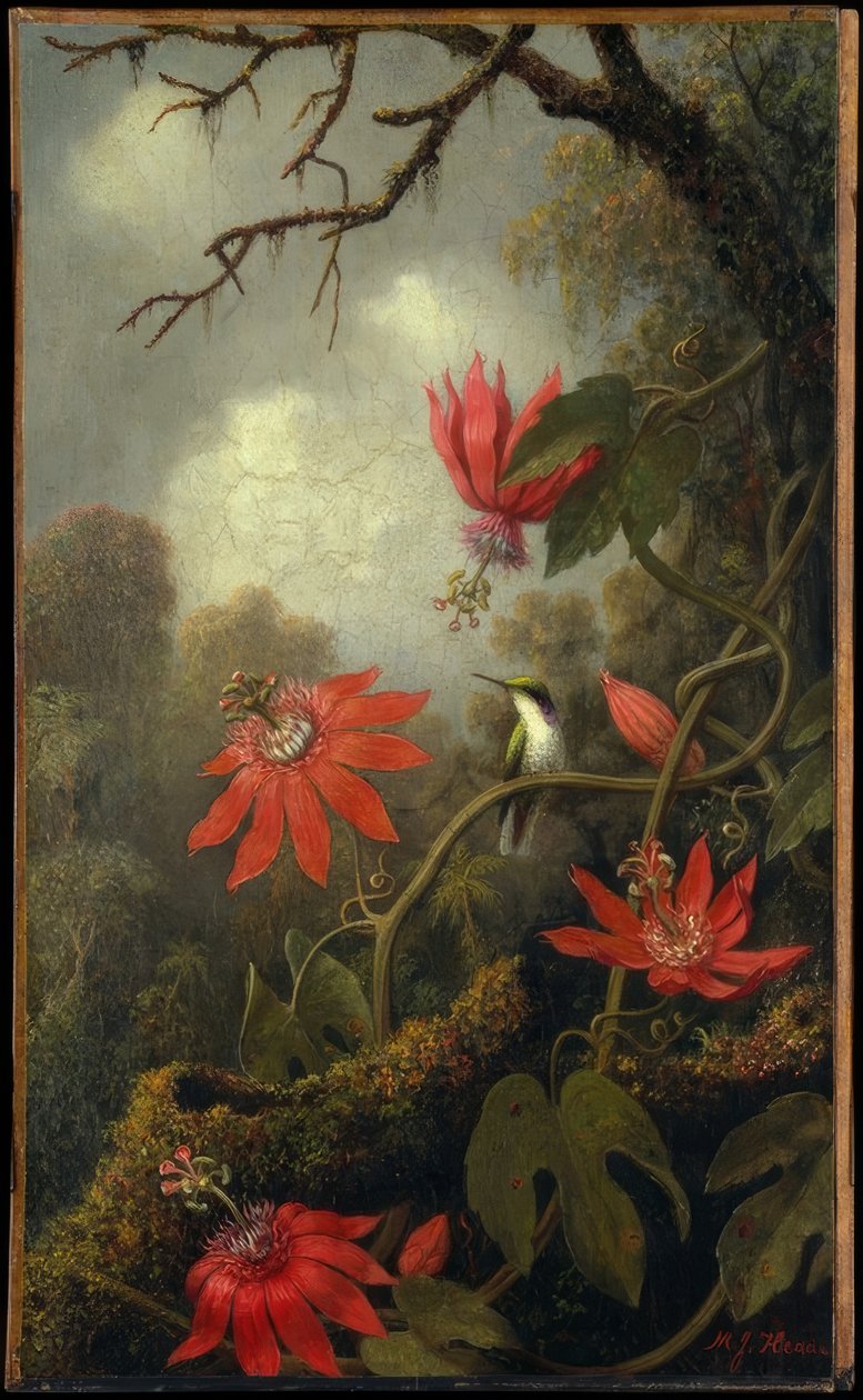 Kolibri och passionsblommor av Martin Johnson Heade