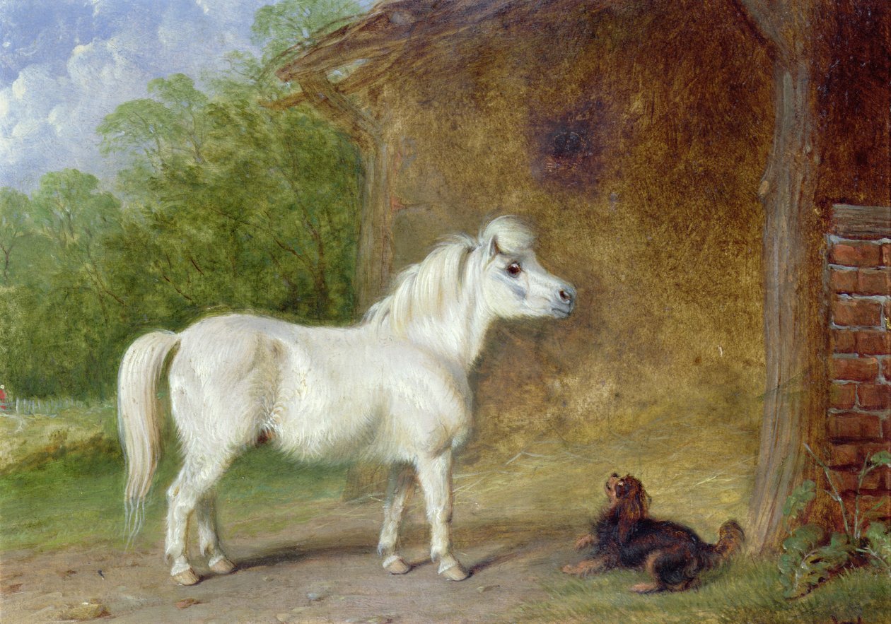En shetlandsponny och en King Charles spaniel (bräda) av Martin Theodore Ward