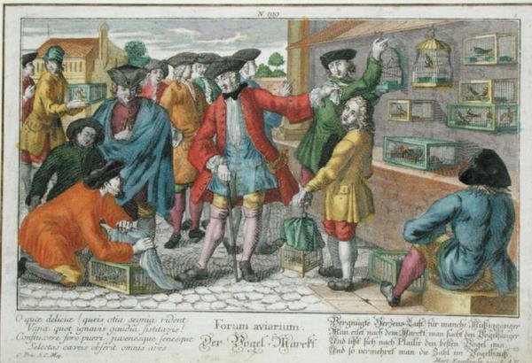 Fågelmarknad (färgad gravyr) av Martin Engelbrecht