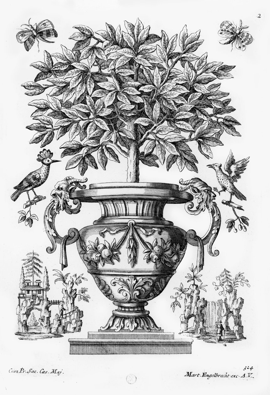 Citrusträd, c.1735 av Martin Engelbrecht