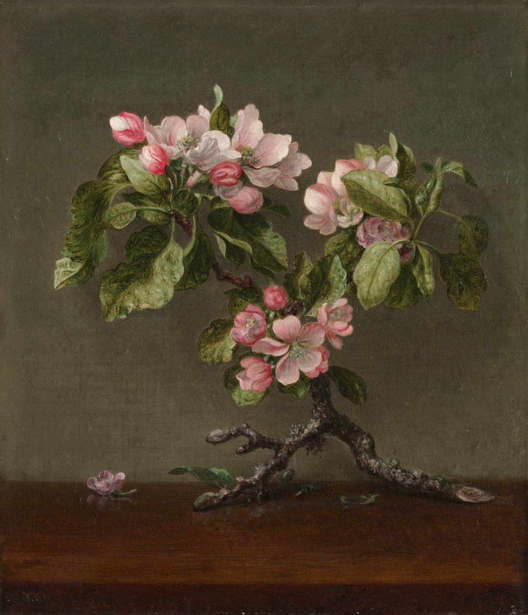 Äppelblommor, 1873. av Martin Johnson Heade