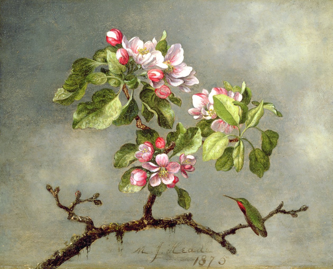 Apple Blossoms and a Hummingbird, 1875 av Martin Johnson Heade