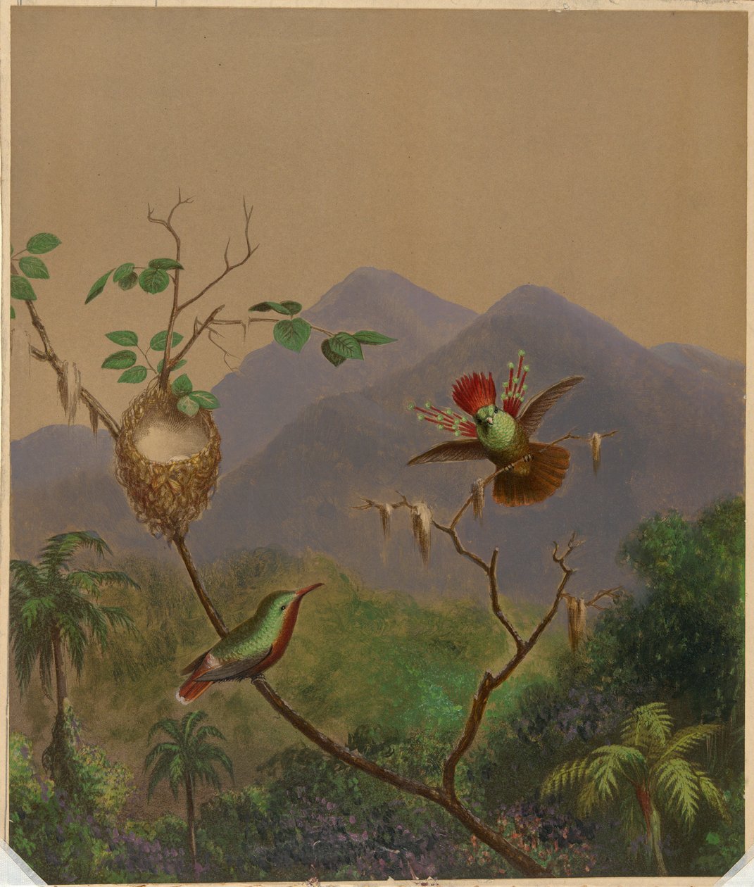 Brasilianska kolibrier III av Martin Johnson Heade