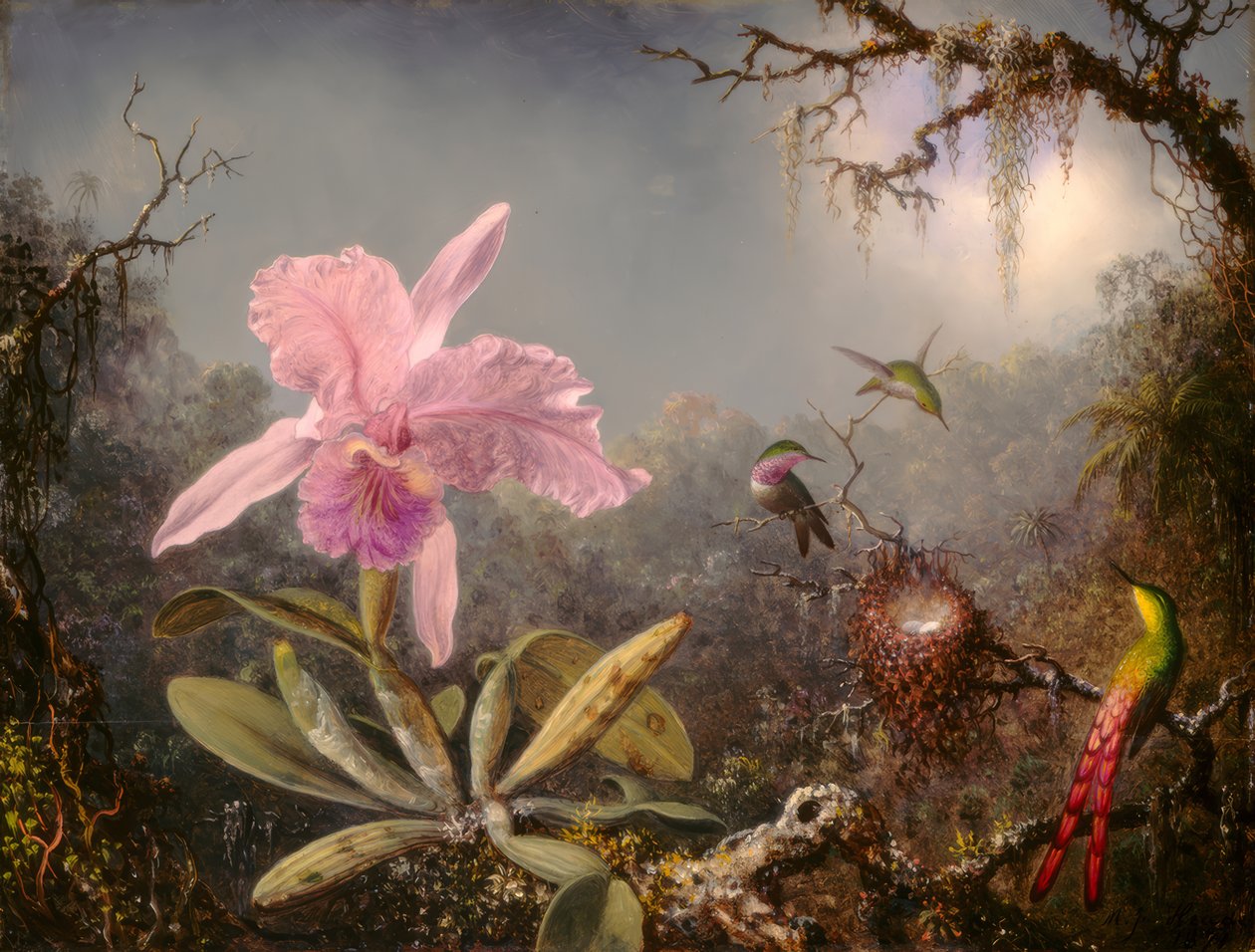 Cattleya orkidé och tre kolibrier av Martin Johnson Heade