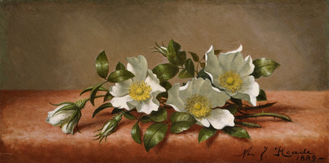 Cherokee rosor av Martin Johnson Heade