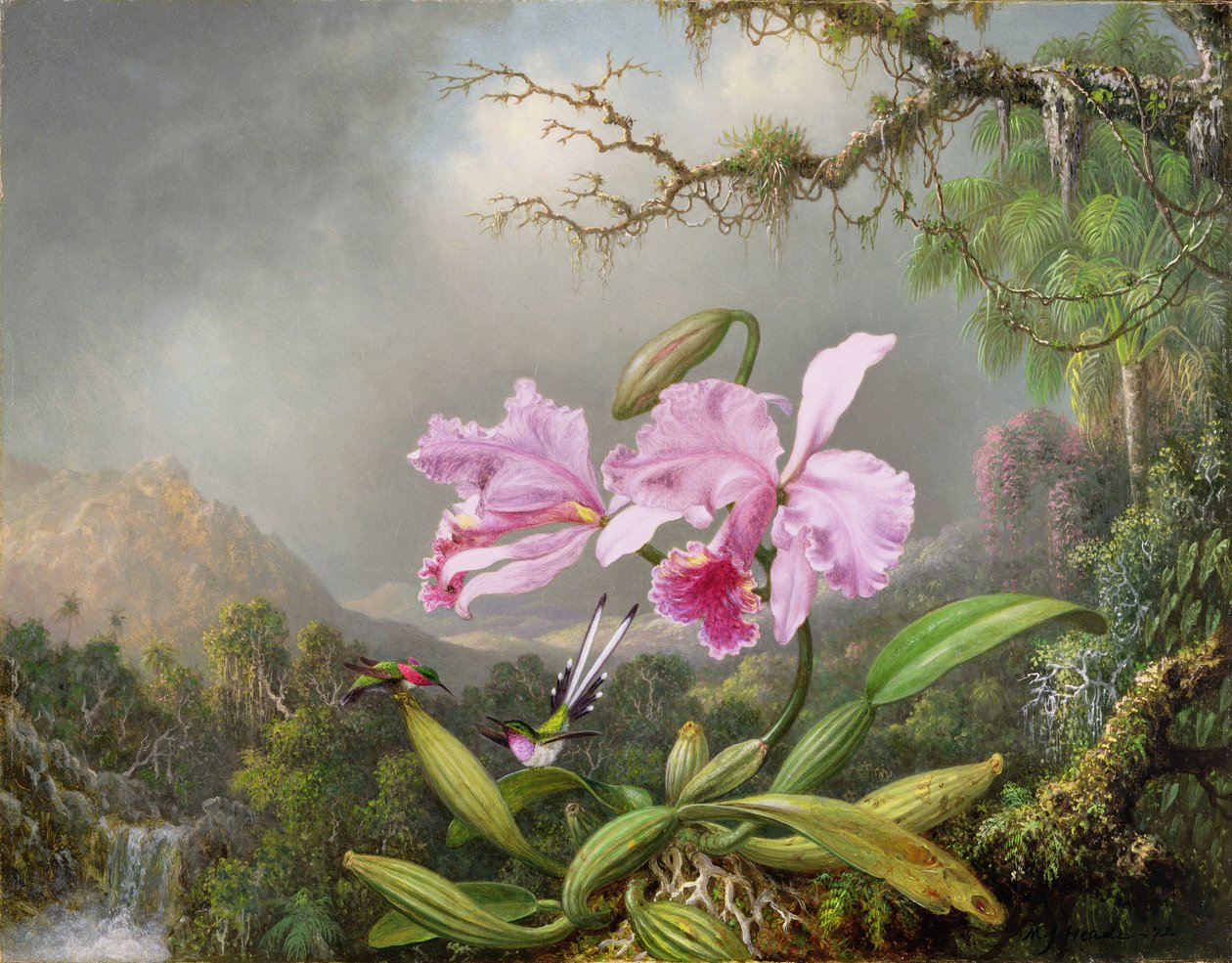 Studie av en orkidé, 1872 av Martin Johnson Heade