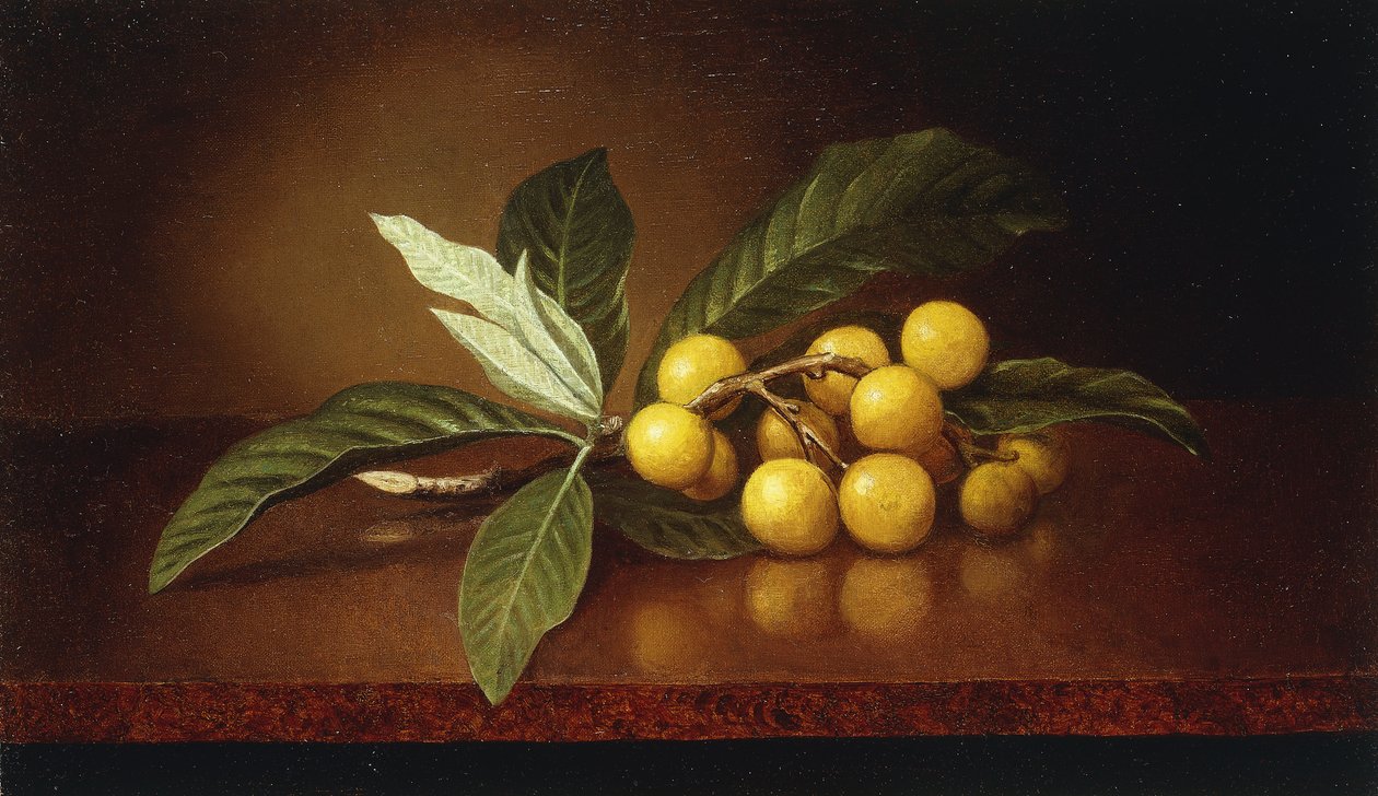 Tropiska plommon, av Martin Johnson Heade