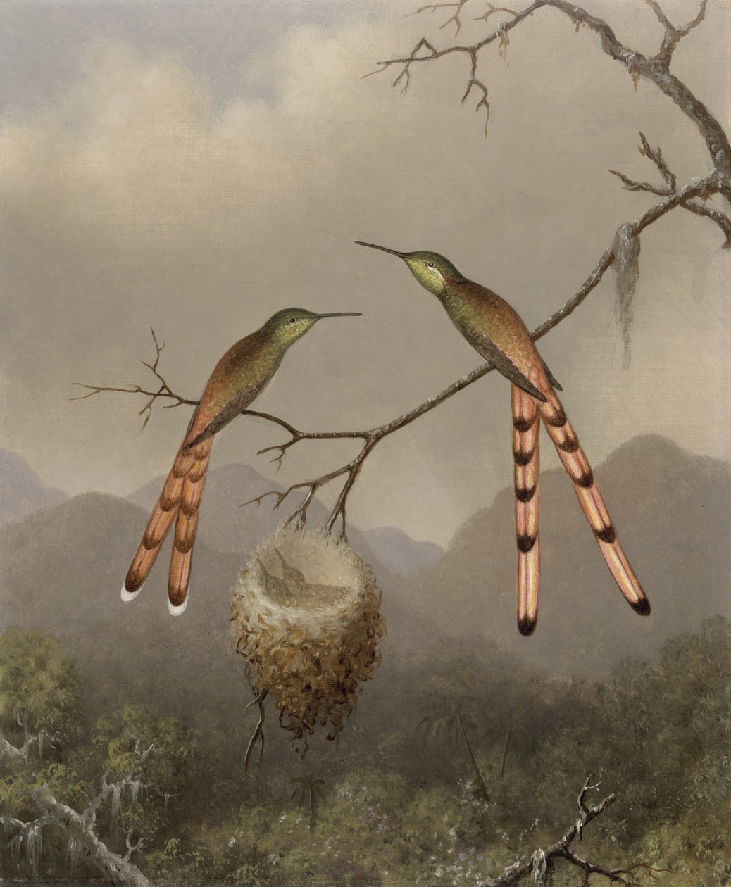 Två kolibrier med sina ungar, c.1865 av Martin Johnson Heade
