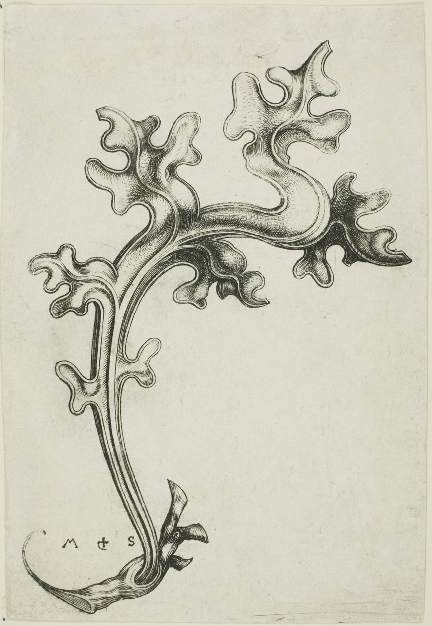 Bladprydnad av Martin Schongauer