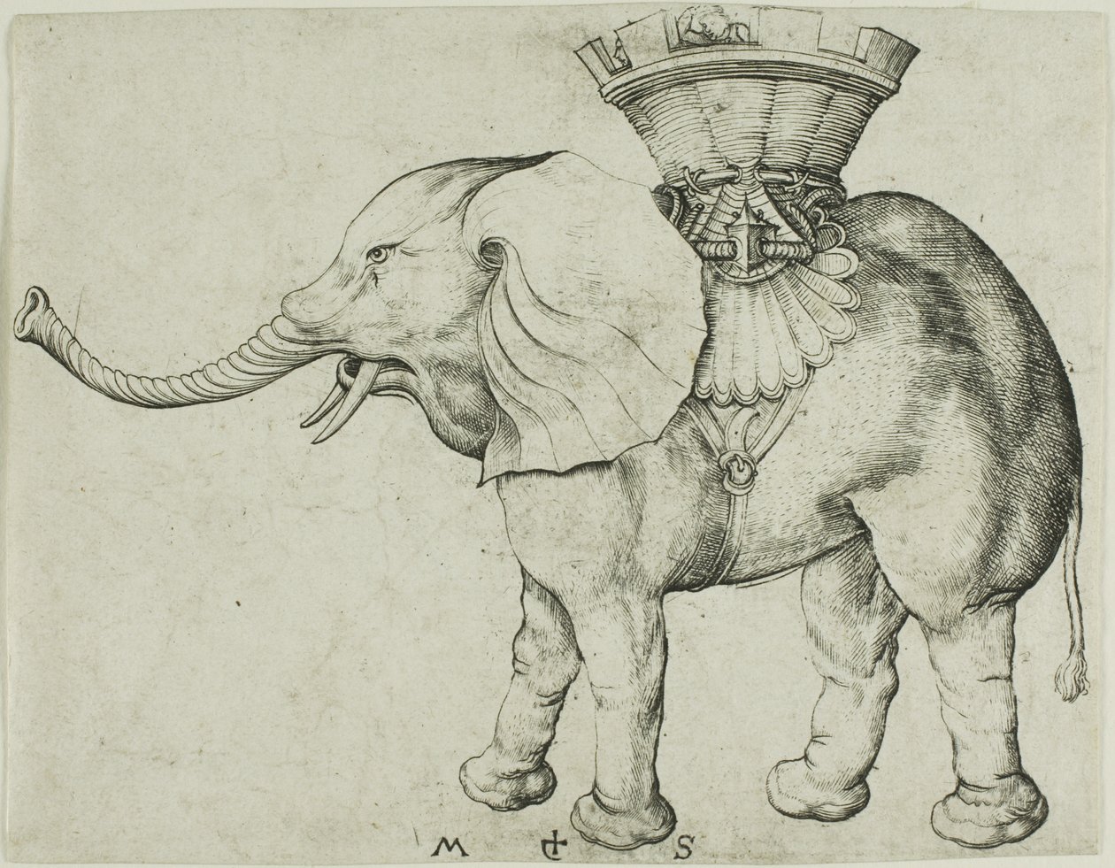 Elefanten av Martin Schongauer