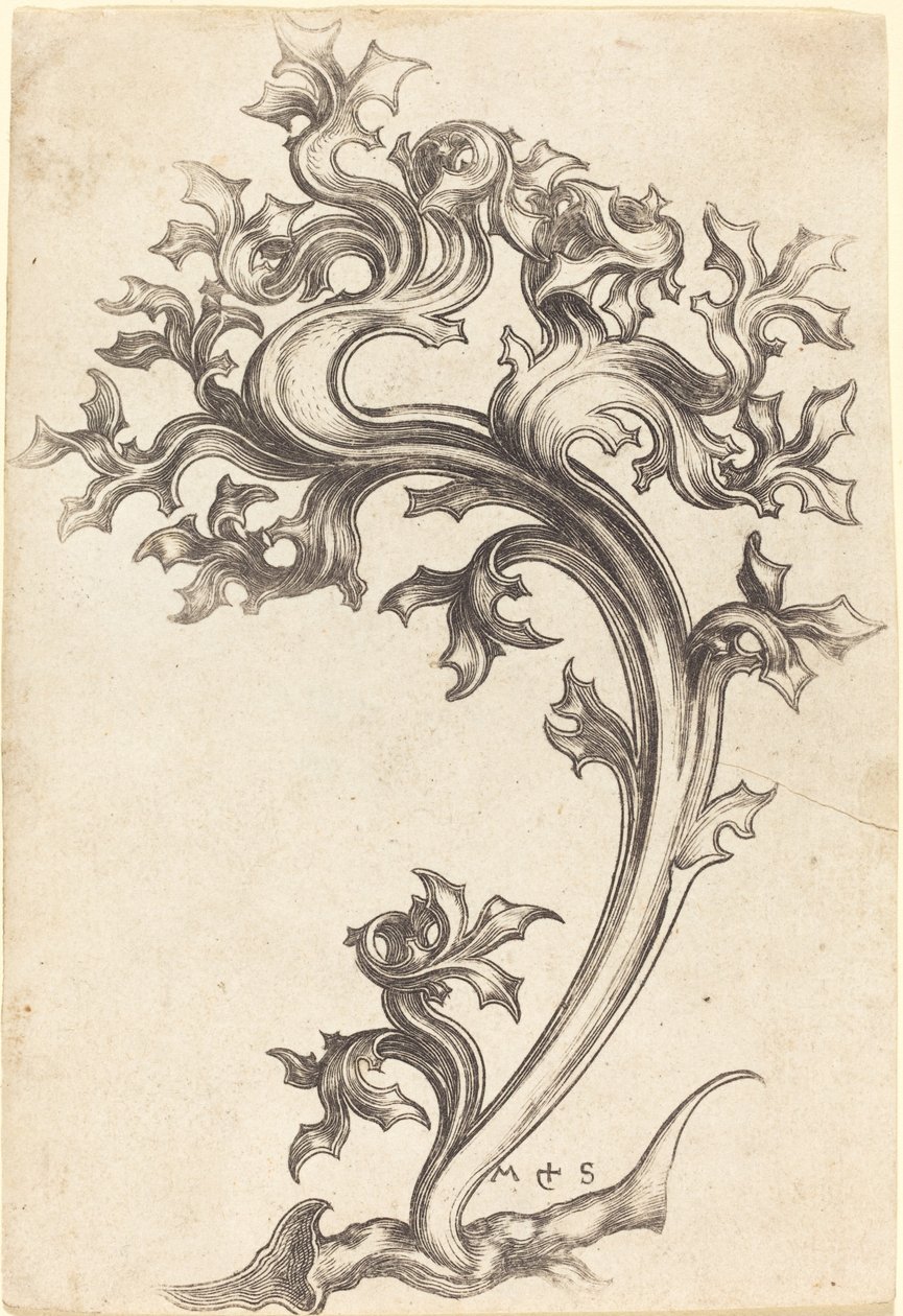 Tistelprydnad av Martin Schongauer
