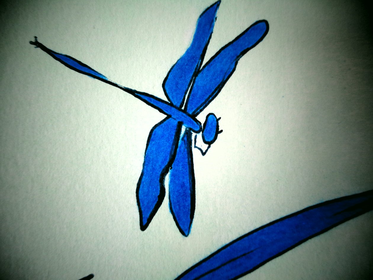 Dragonfly (detalj) av Martina Konitzky