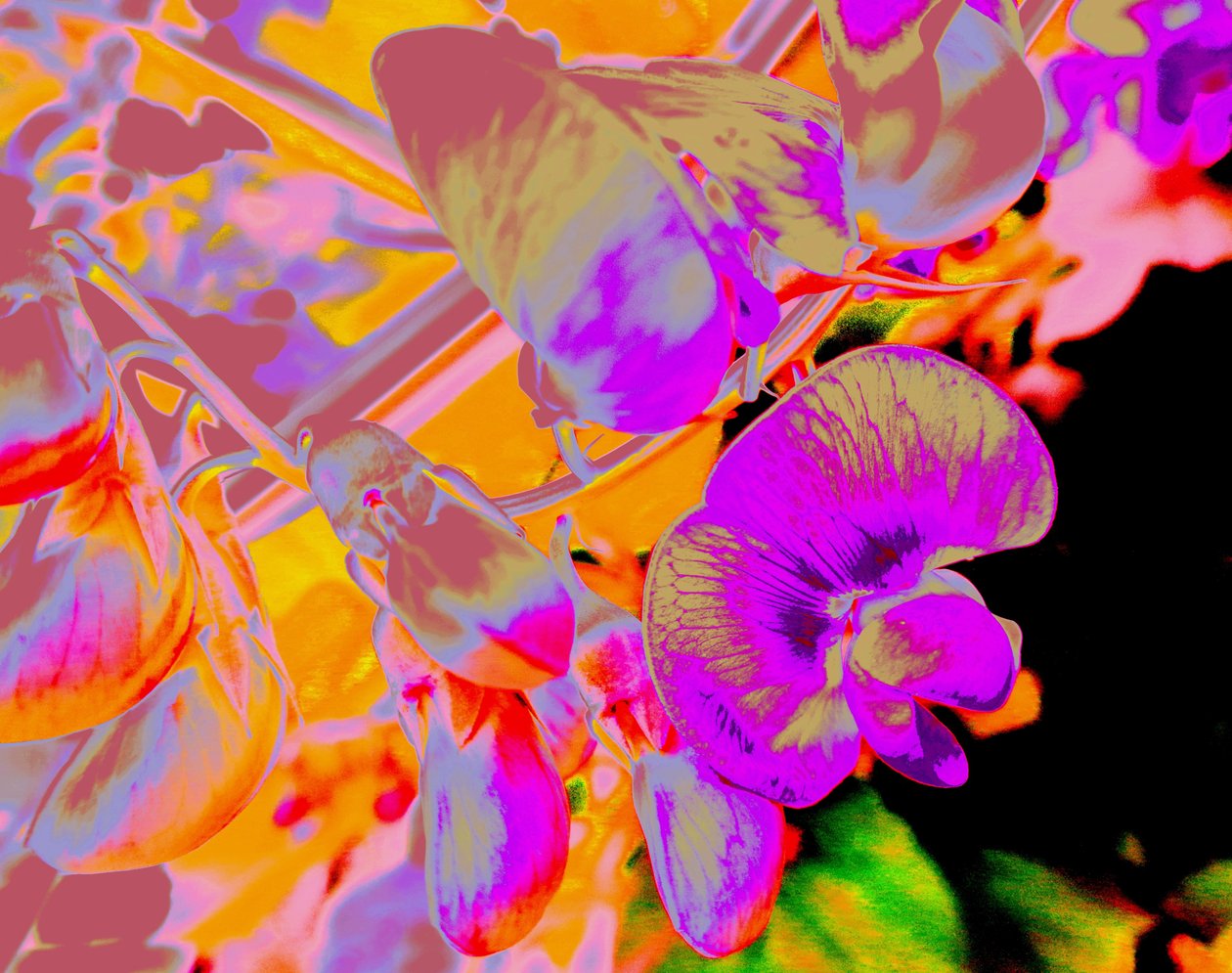 Sommarblommor av Martina Konitzky