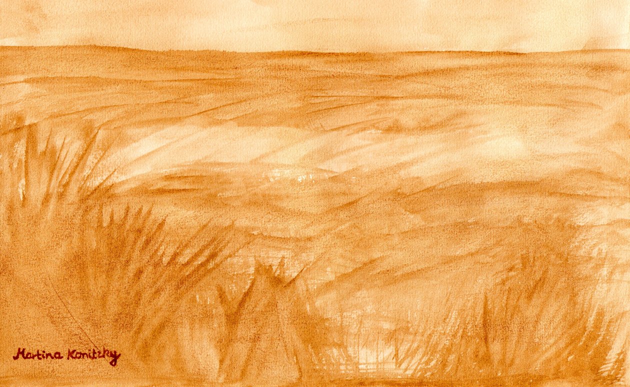 Sommarfält av Martina Konitzky