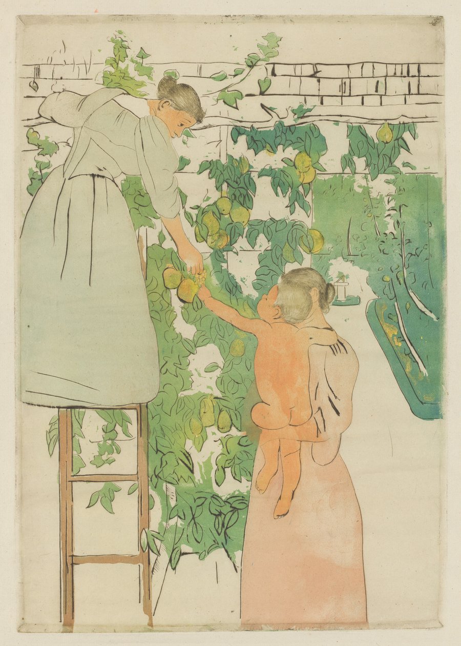 Samla frukt, c. 1893. av Mary Cassatt