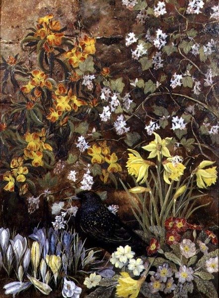 Vårblommor av Mary Ensor