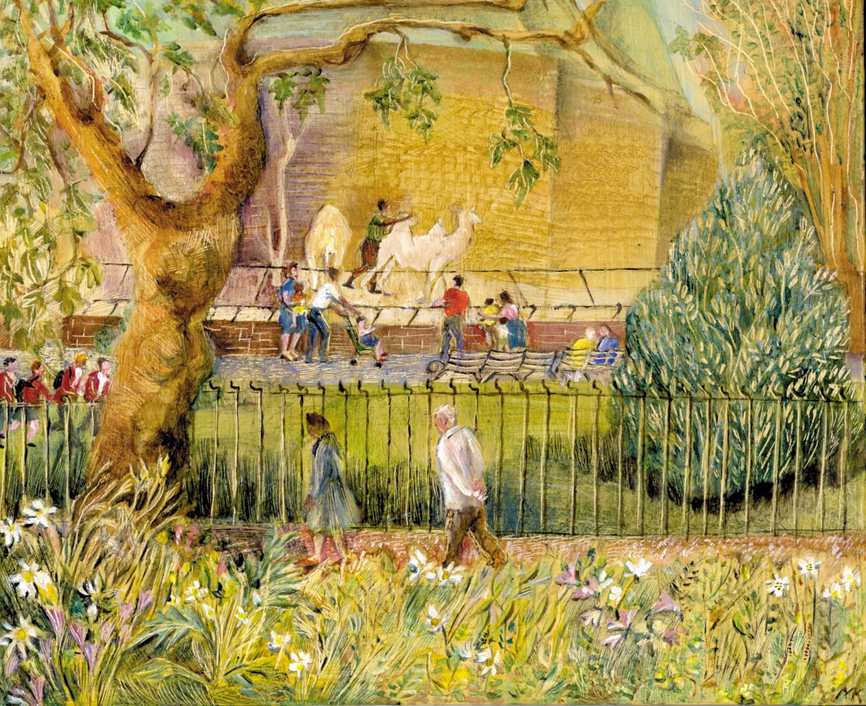 London Zoo, Camels, 2003 (olja ombord) av Mary Kuper
