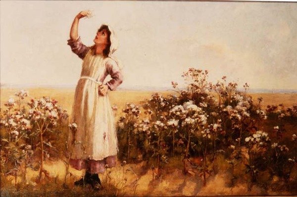 Thistledown av Mary Louise Breakell