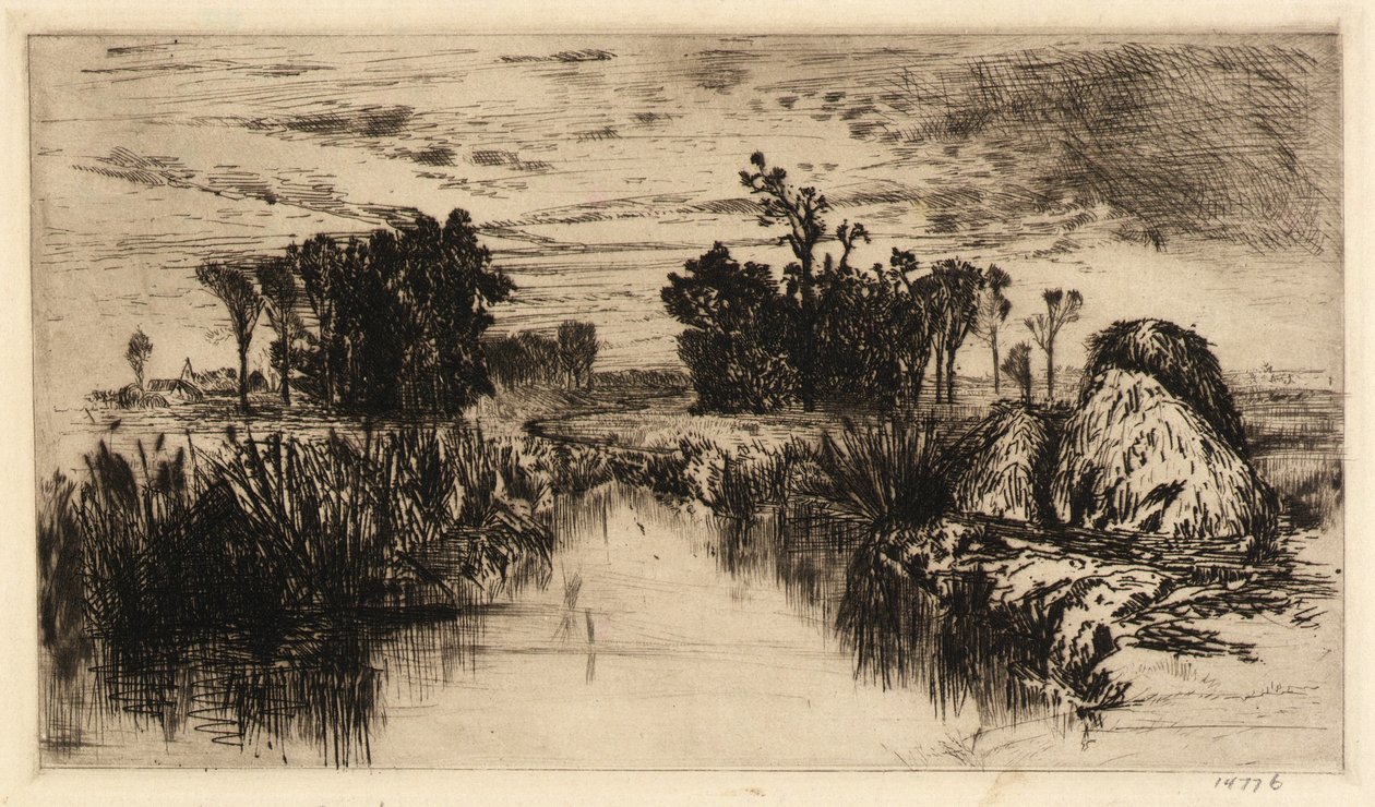 Cattails och träd av Mary Nimmo Moran
