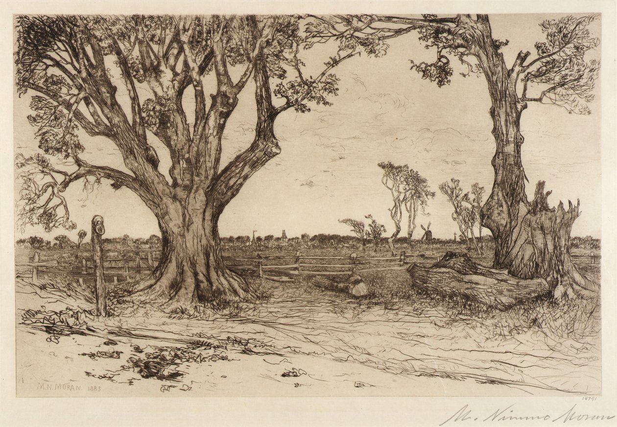 Old Lindens - nära Easthampton av Mary Nimmo Moran