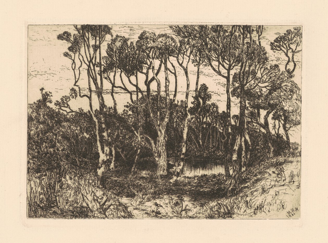Ensamhet av Mary Nimmo Moran