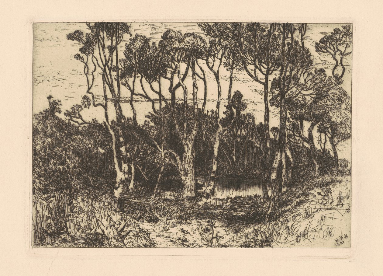 Ensamhet av Mary Nimmo Moran