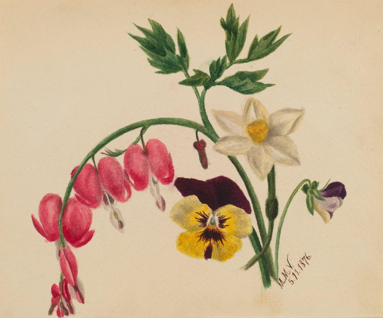 (Utan titel - blandade blommor) av Mary Vaux Walcott