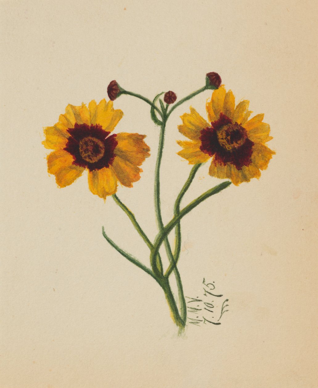 Utan titel, 1875. av Mary Vaux Walcott