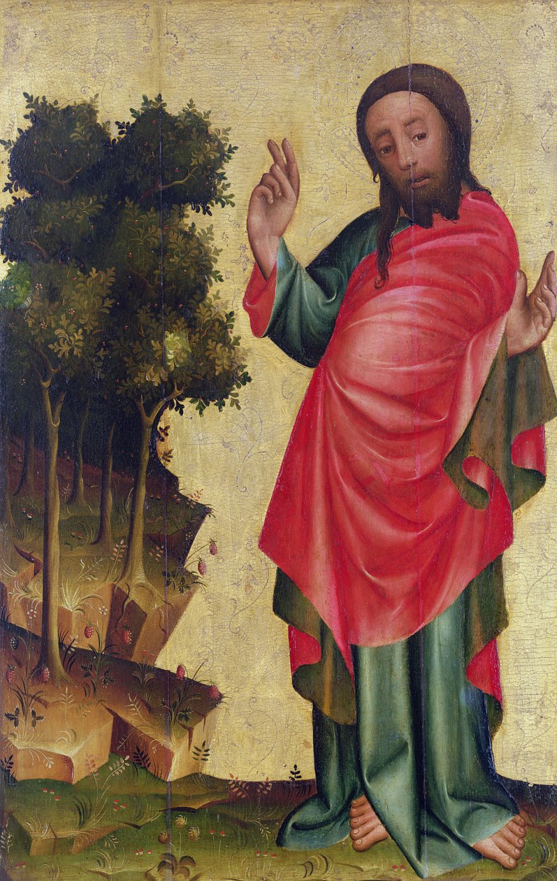 Skapandet av torrt land och vegetation, detalj från The Grabow Altarpiece, 1379-83 (tempera på panel) av Master Bertram of Minden