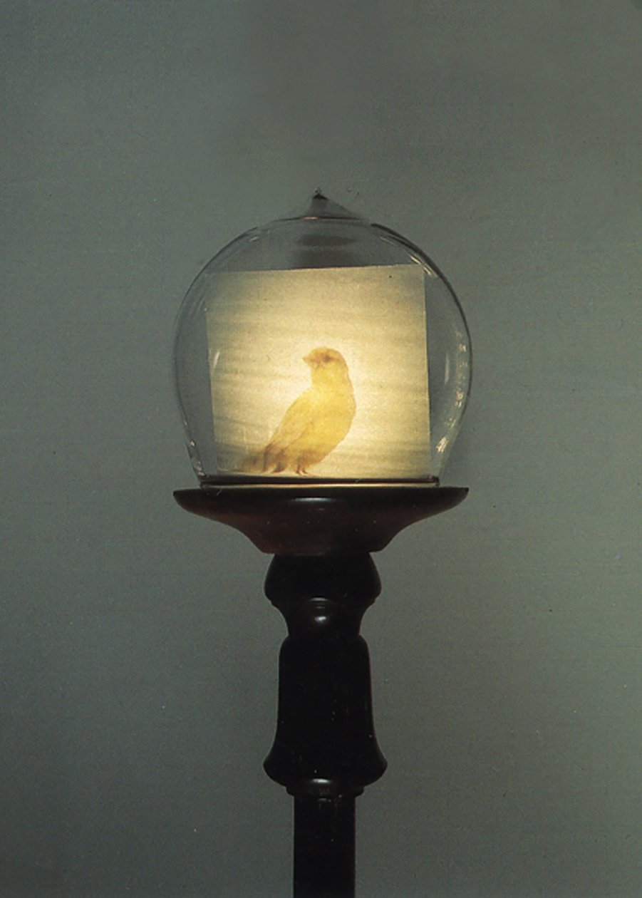 Antik av Mat Collishaw