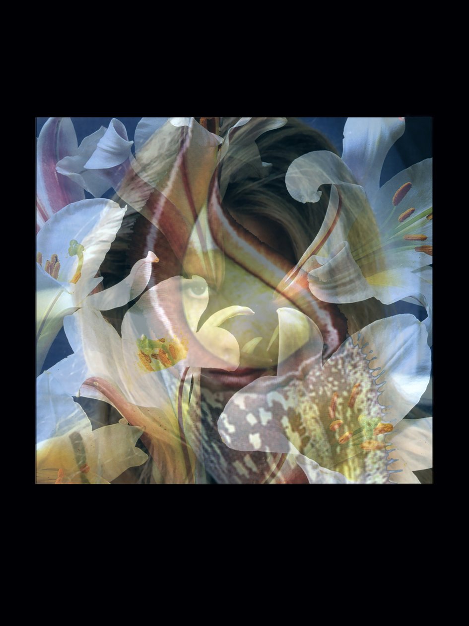Flesheaters 3 av Mat Collishaw