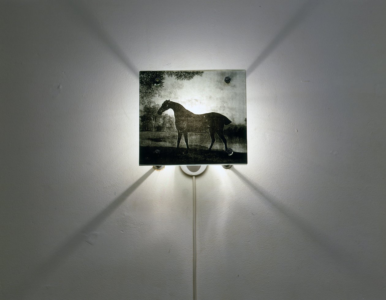 Stubbs Hästar av Mat Collishaw