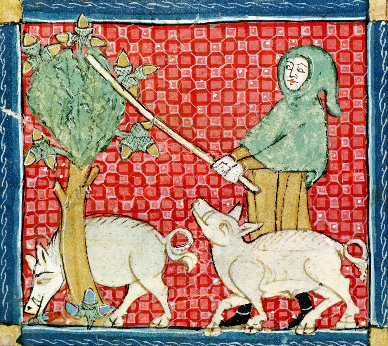 Fol.59v November: Samling av ekollon av Matfre Ermengaut