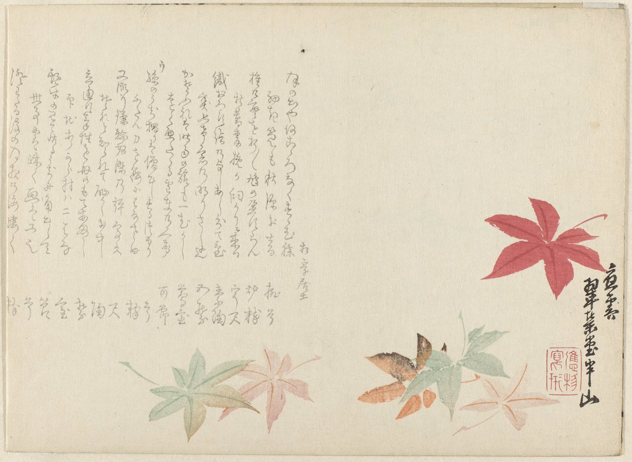 Japansk lönn av Matsukawa Hanzan