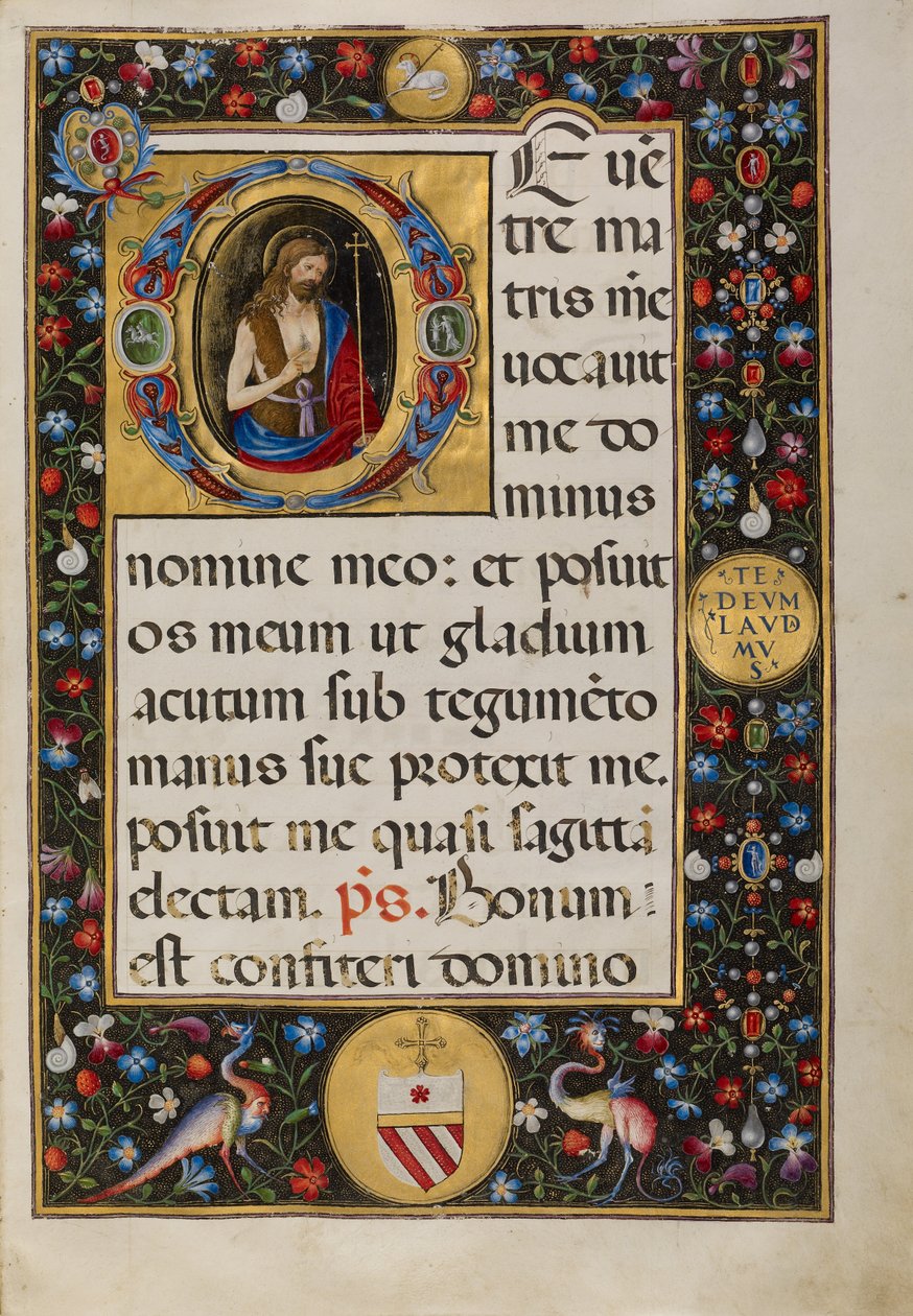 Initial D: Sankt Johannes Döparen av Matteo da Milano
