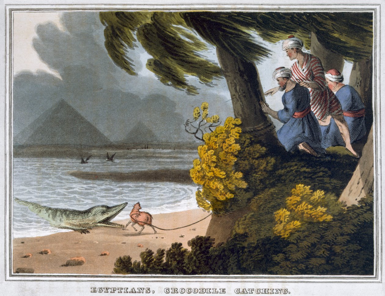 "Egyptier, krokodilfångande", 1813 av Matthew Dubourg